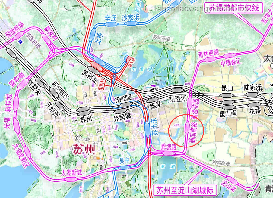 哈基米人生哲学：无悔之路的实践指南 🚀